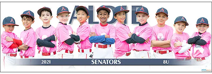 2021 Aldie Senators 8U 1