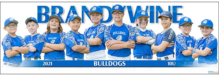 2021 Brandywine Baseball 10U 1
