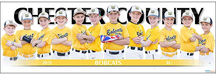 2021 Chester County Baseball 8U 1