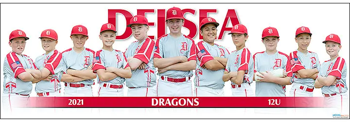 2021 Delsea Baseball 12U 1