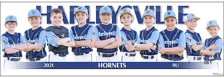 2021 Harleysville Hornets 9U 1