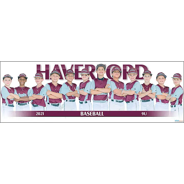 2021 Haverford Baseball 9U 1