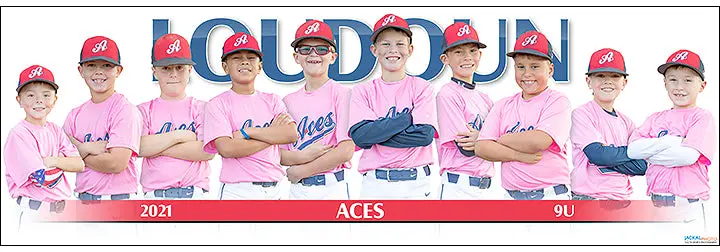 2021 Loudoun Aces 9U 1