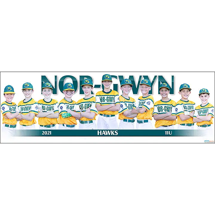 2021 Nor-Gwyn Hawks 11U 1