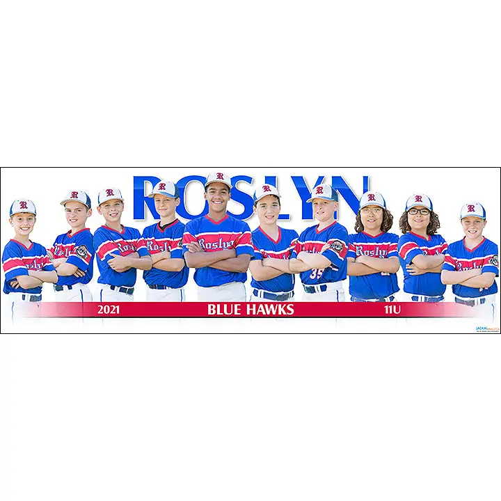 2021 Roslyn Blue Hawks 11U 1
