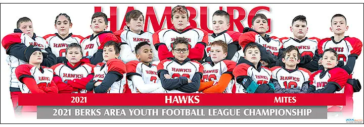 2021 Hamburg Hawks Mites Poster 1