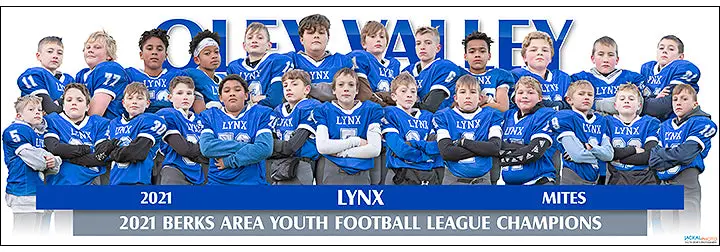 2021 Oley Lynx Mites Poster 1