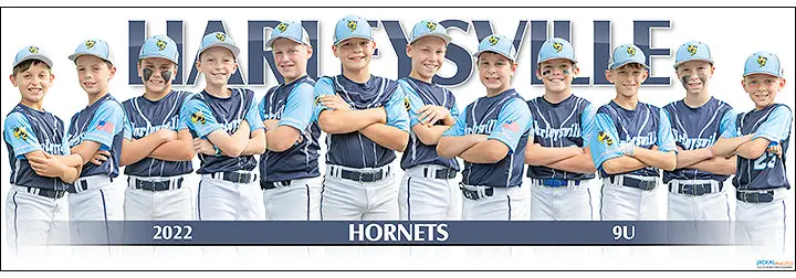 2022 Harleysville Hornets 9U 1