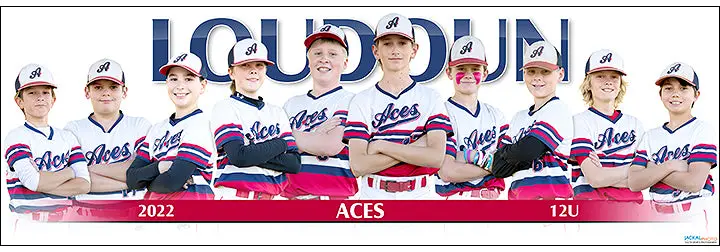 2022 Loudoun Aces 12U 1