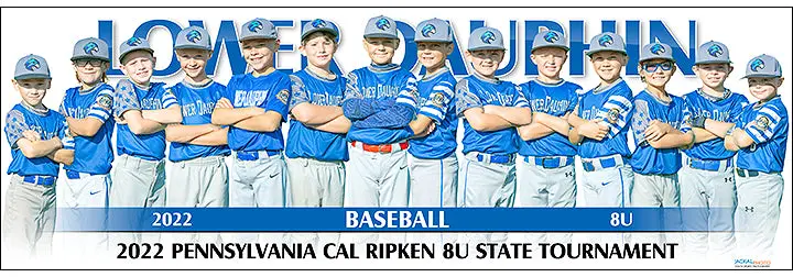 2022 Lower Dauphin Baseball 8U 1