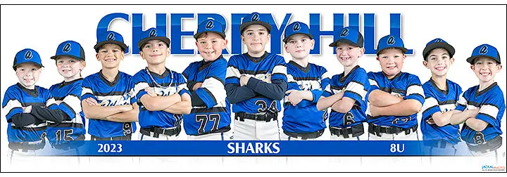 2023 Cherry Hill Sharks 8Ub 1