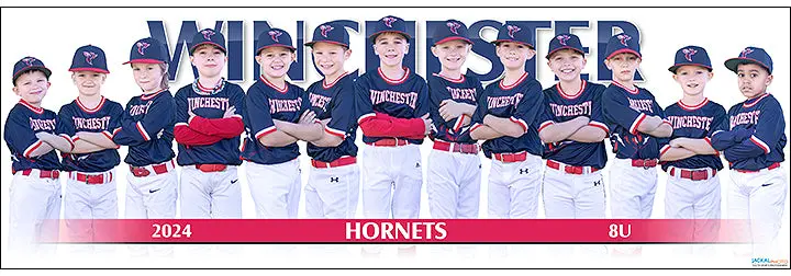 2024 Winchester Hornets 8U 1