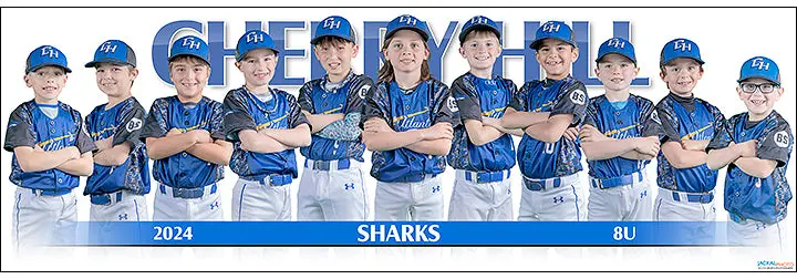 2024 Cherry Hill Atlantic Sharks 8U 1