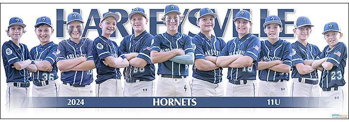 2024 Harleysville Hornets 11U 1
