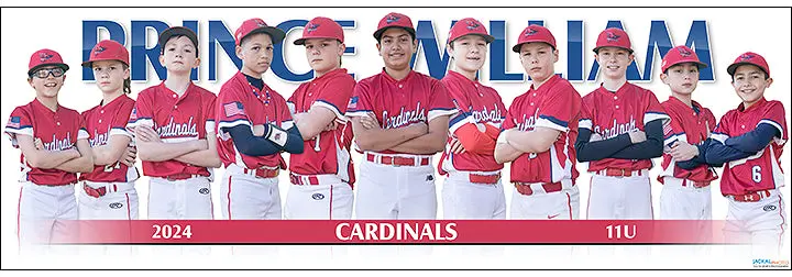 2024 Prince William Cardinals 11U 1