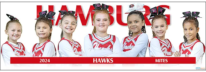 2024 Hamburg Hawks Mites Cheerleading 1