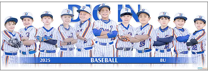 2025 Dig In Baseball 8U 1