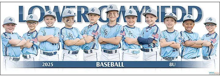 2025 Lower Gwynedd Baseball 8U 1