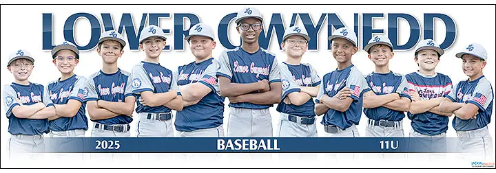 2025 Lower Gwynedd Baseball 11Ub 1