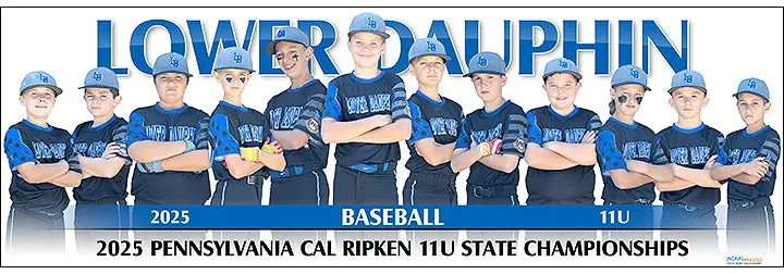 2025 Lower Dauphin Baseball 11U 1