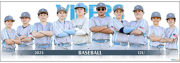 2025 Vipers Baseball 12U 1