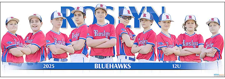 2025 Roslyn Bluehawks 12U 1
