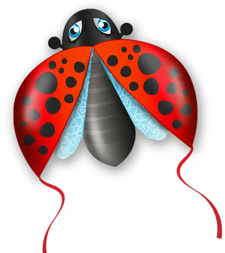 Eolo Pop Up Kite, Mini Ladybug 1