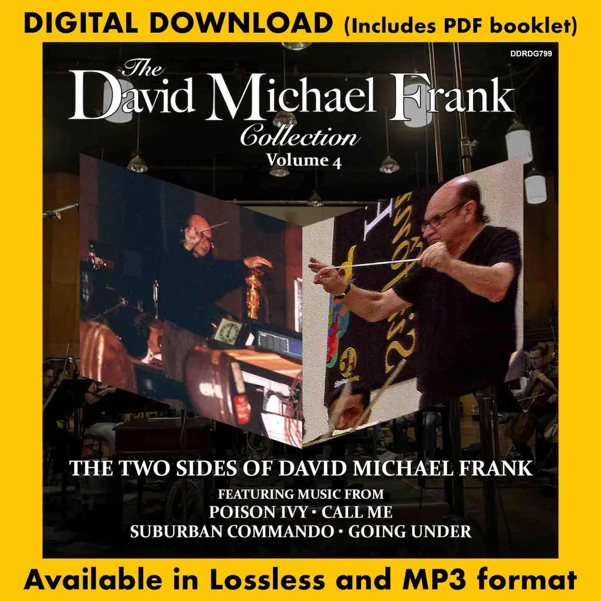 The David Michael Frank Collection: Volume 4 (Double Album) 1
