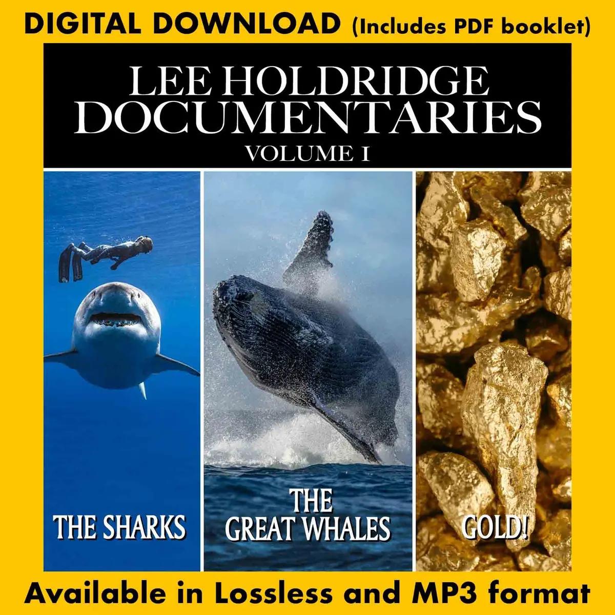 Lee Holdridge Documentaries - Volume 1 1