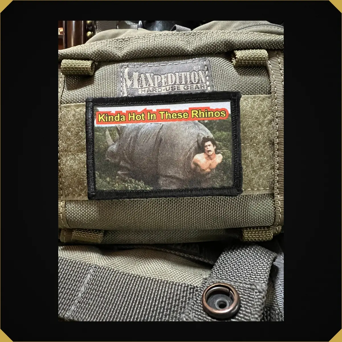 'Kinda Hot In These Rhinos' 2X3 Ace Venture Morale Patch 1
