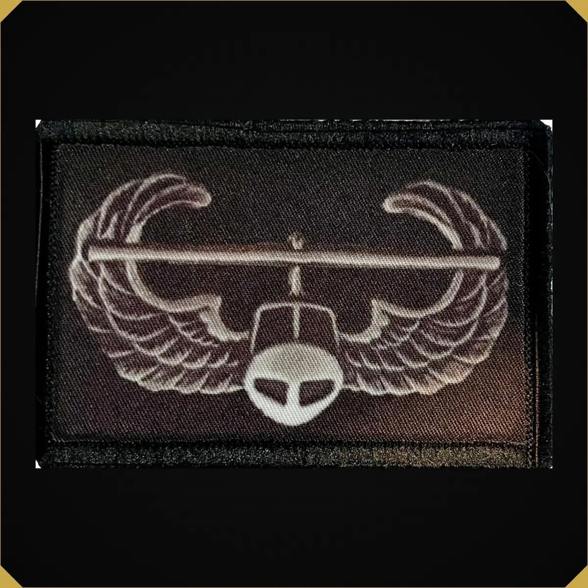 Air Assault Badge Morale Patch 1