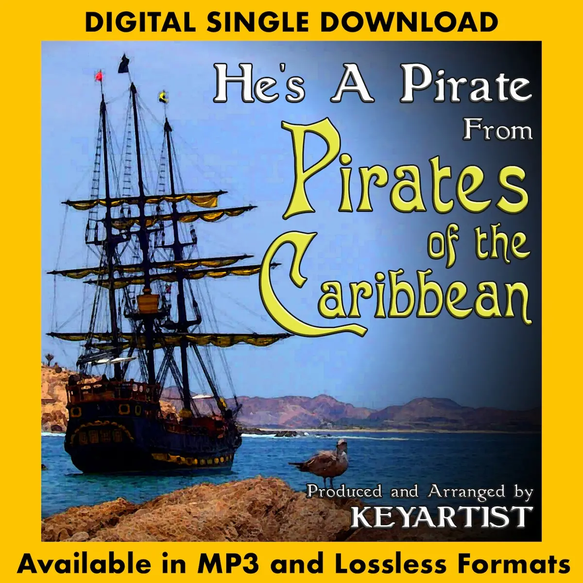 Pirates Of The Caribbean - He's A Pirate 1