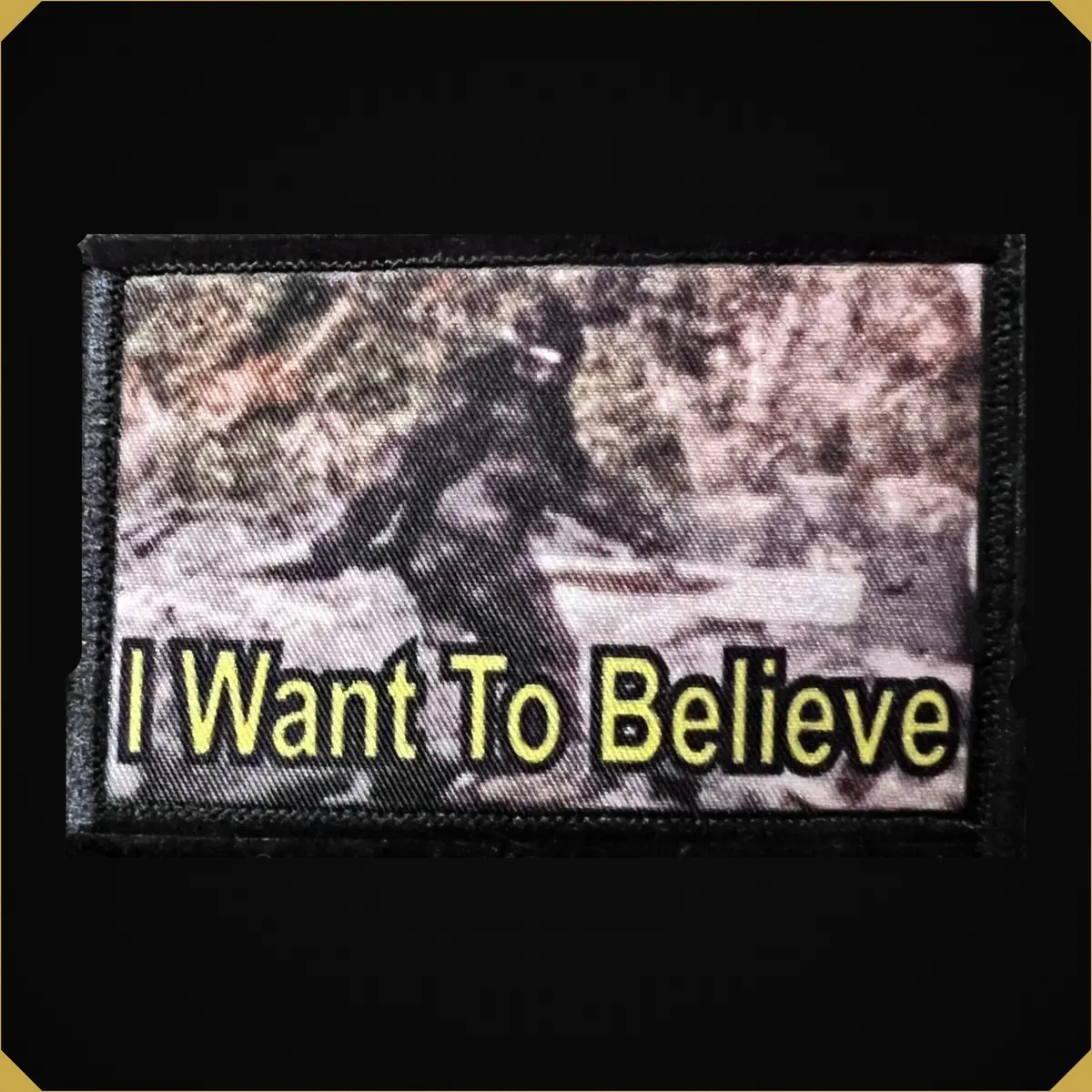 Bigfoot I Want To Believe Morale Patch 1