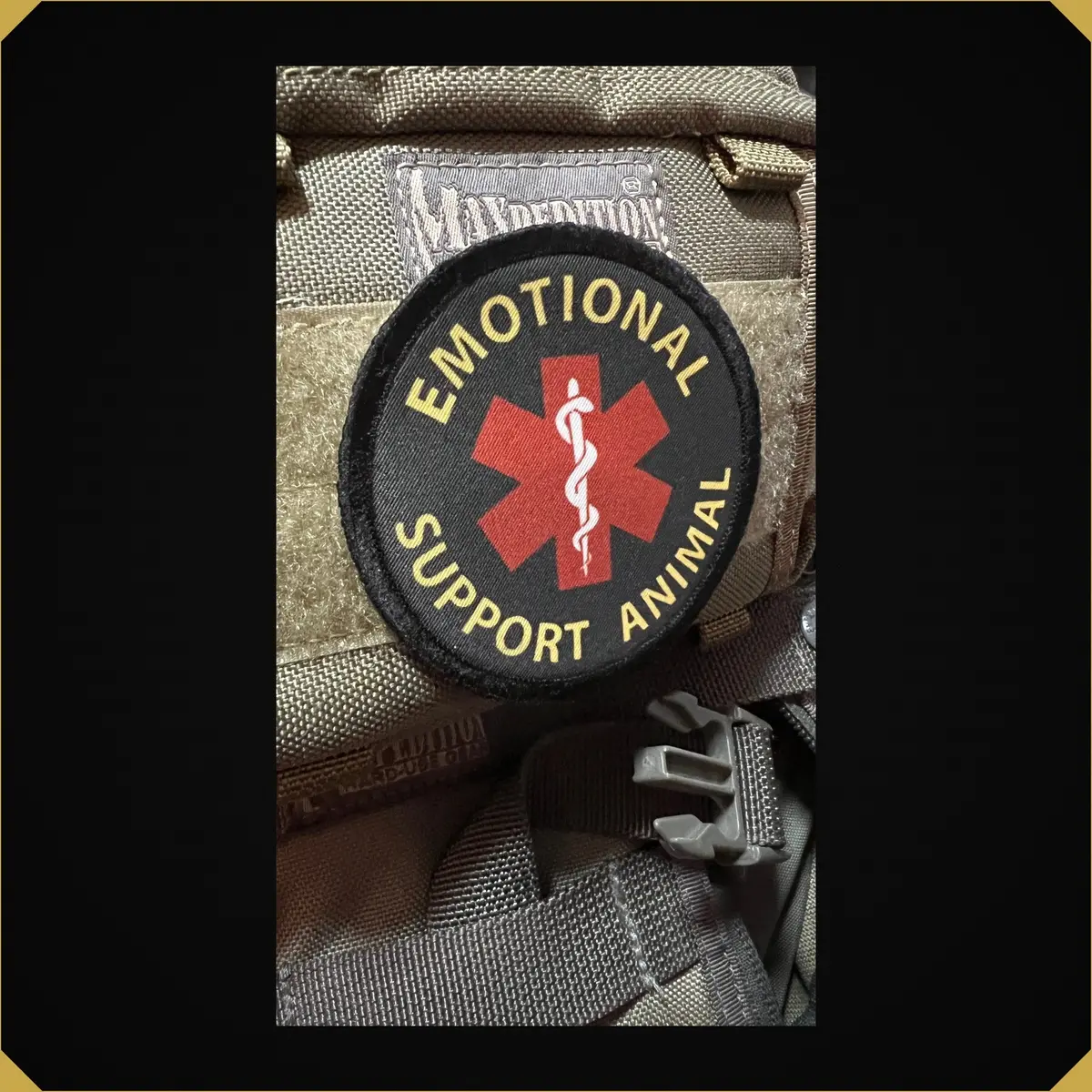 Emotional Support Animal Morale Patch 1