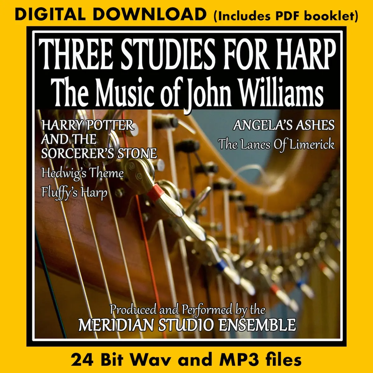 Harry Potter And The Sorcerer's Stone   Fluffy's Harp 1