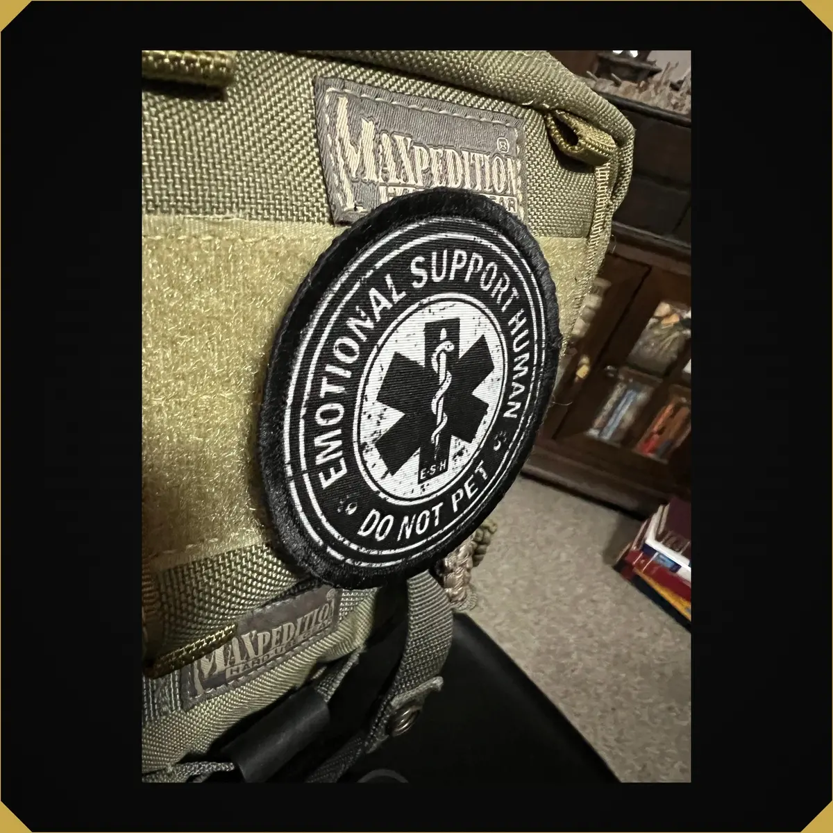 Emotional Support Human Do Not Pet Morale Patch 1