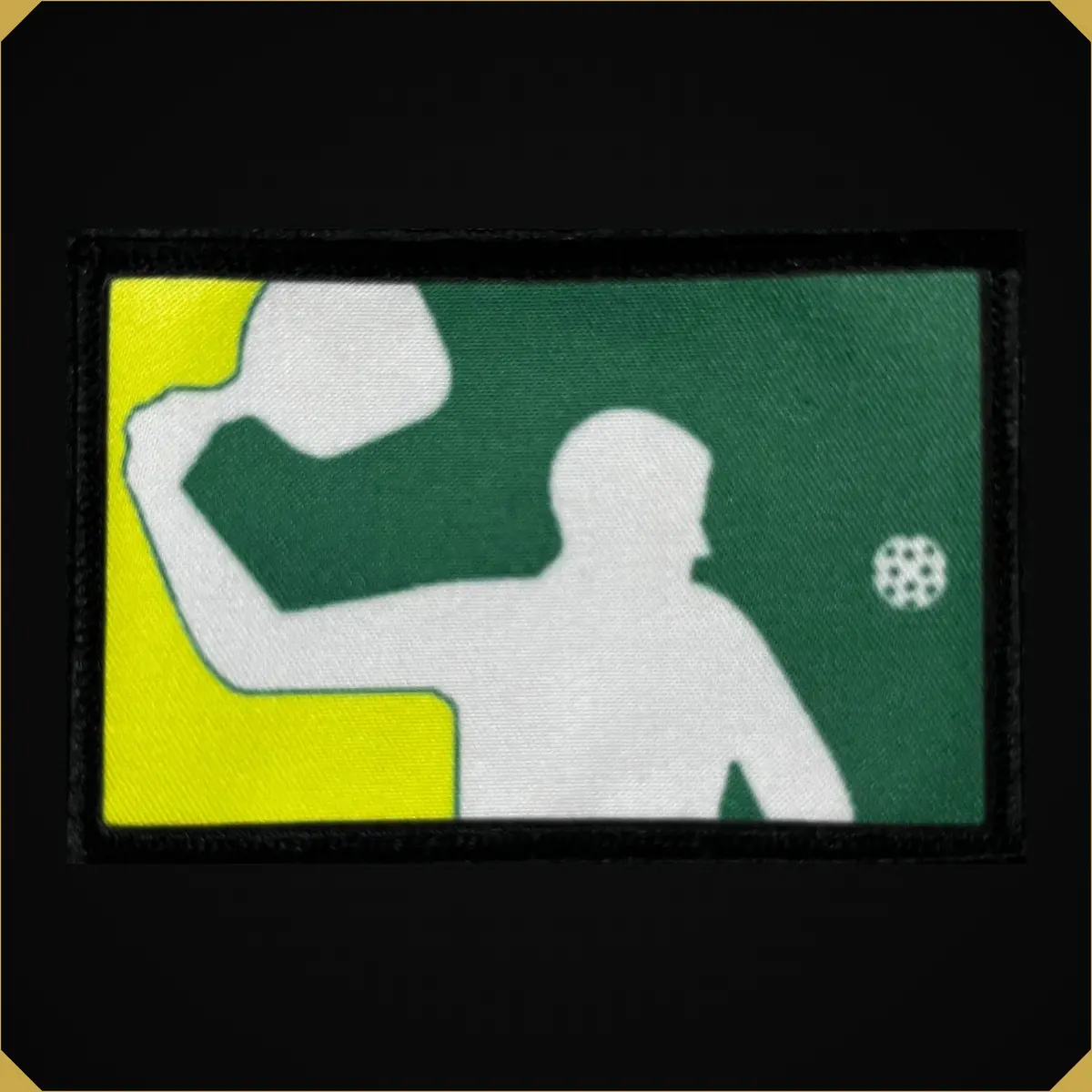 Pickleball Professional 1