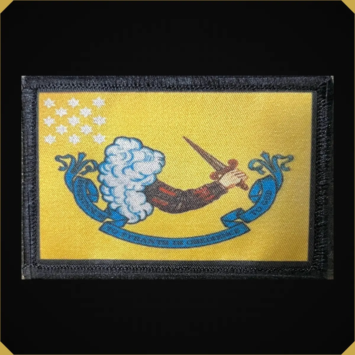 Resistance To Tyrants Is Obedience To God 1776 Morale Patch 1