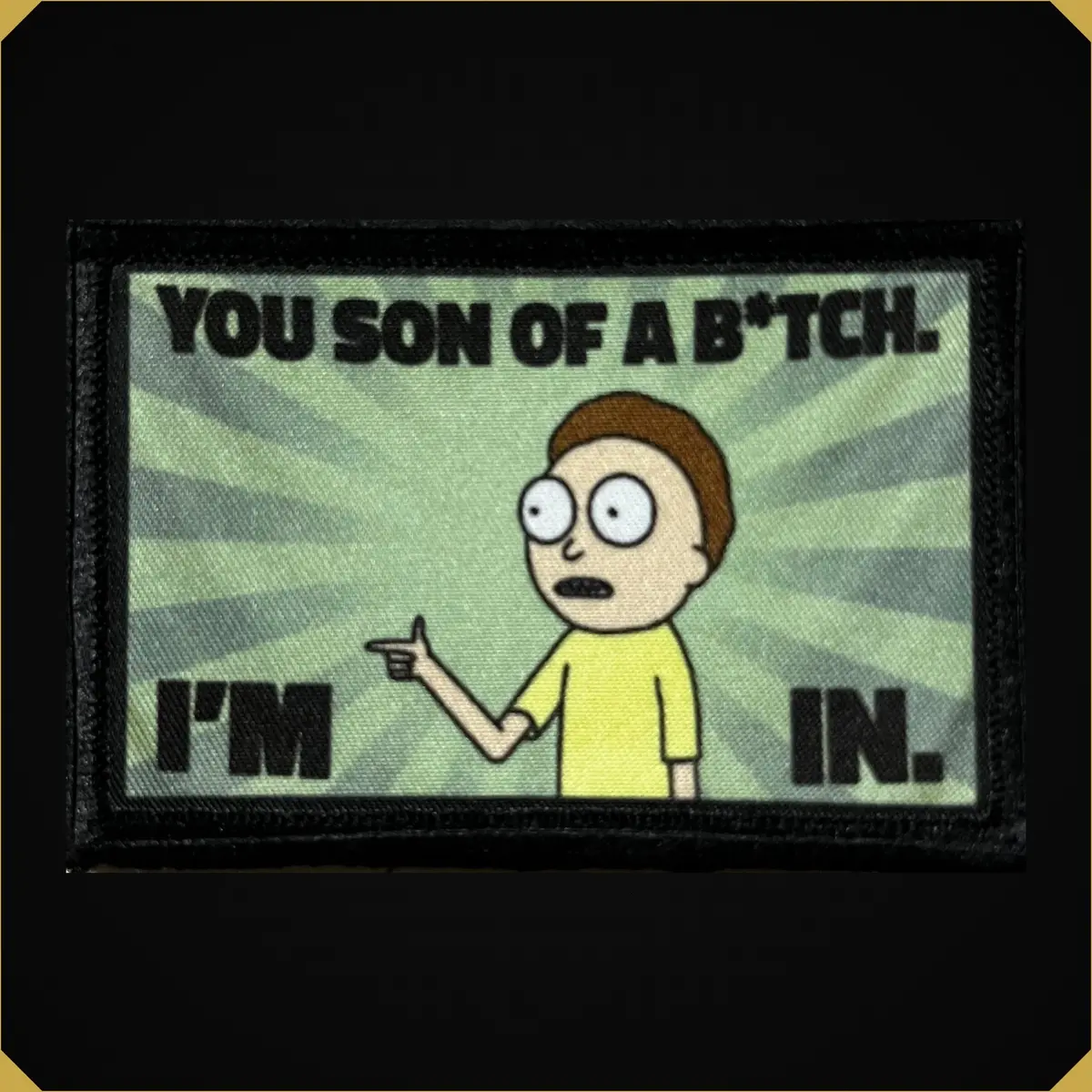 You Son Of A B---H I'm In Rick And Morty Morale Patch 1