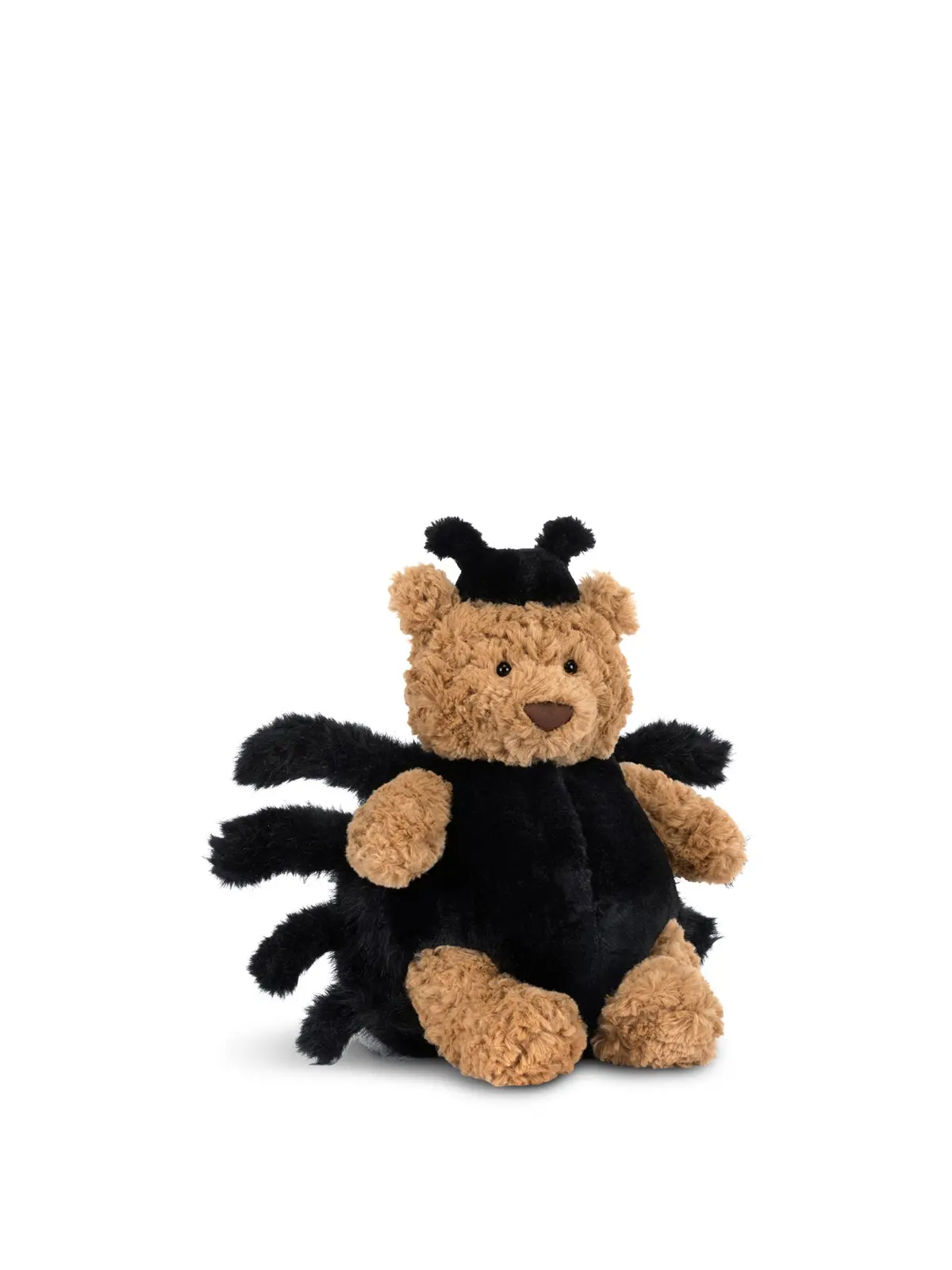 Bartholomew Bear Spider 1